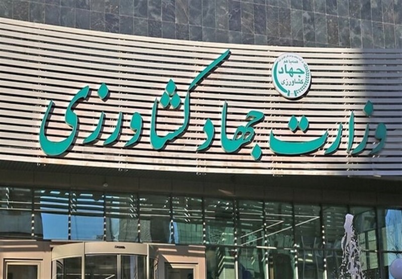 بحران نهاده‌های دامی، محصول تعلل و کم کاری جهاد کشاورزی